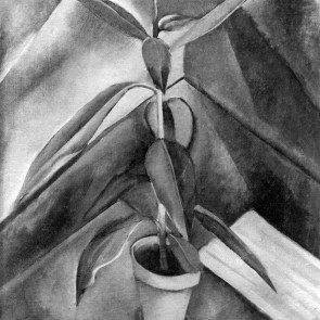 WV-Nr. 0026 (S) | Topfpflanze 