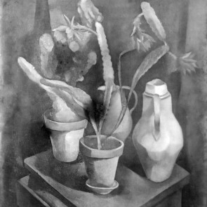 WV-Nr. 0530 (S) | Topfpflanzen und Krüge auf kleinem Tisch