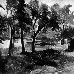 WV-Nr. 0663 (L) | Bäume in der Mühlener Bucht