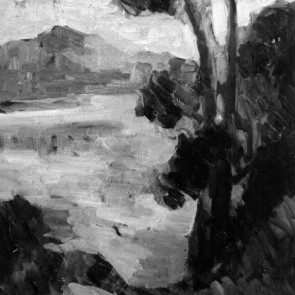 WV-Nr. 0397 (L) | Baum am Chiemseeufer