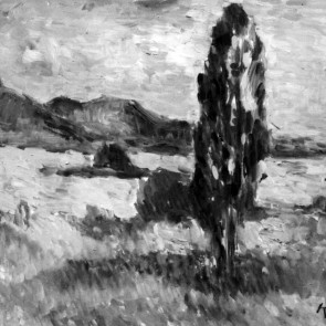 WV-Nr. 0455 (L) |  Seeufer mit Pappel