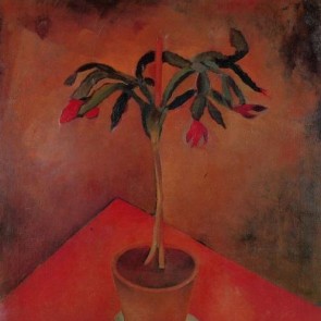 Stillleben mit blühendem Kaktus