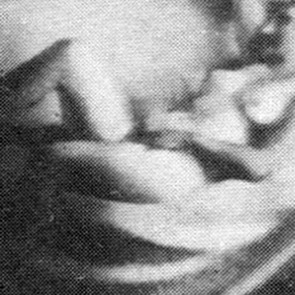 WV-Nr. 0732 (P) | Liegender Akt 