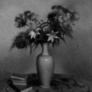 WV-Nr. 0232 (S) | Blumenstillleben mit Büchern