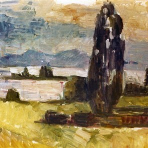 WV-Nr. 0838 (L) | Blick auf die Krautinsel am Chiemsee