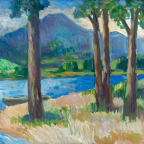 WV-Nr. 0501 (L) | Seeufer mit Bäumen